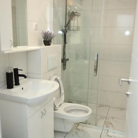 Apartment Ninkovic - Sneznik